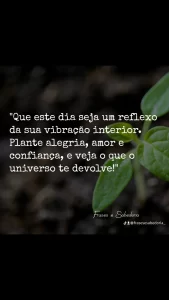 frase de bom dia com planta crescendo na terra fértil
